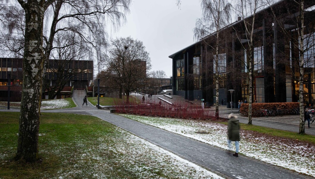 Universitetet i Oslo har strammet inn tilgang til digital undervisning for ham og flere andre pensjonister, skriver artikkelforfatteren. Universitetet i Oslo har strammet inn tilgang til digital undervisning for ham og flere andre pensjonister, skriver artikkelforfatteren.