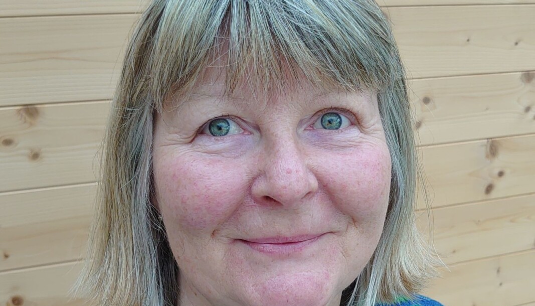 Aud Solveig Nilsen er førsteamanuensis i risikostyring og samfunnssikkerhet ved UiT i Harstad. Aud Solveig Nilsen er førsteamanuensis i risikostyring og samfunnssikkerhet ved UiT i Harstad.