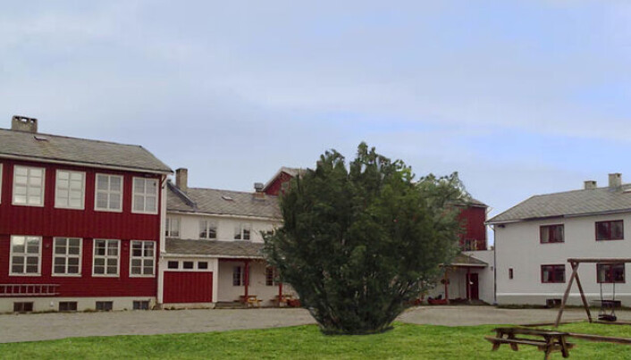 Børselv skole. Børselv skole.