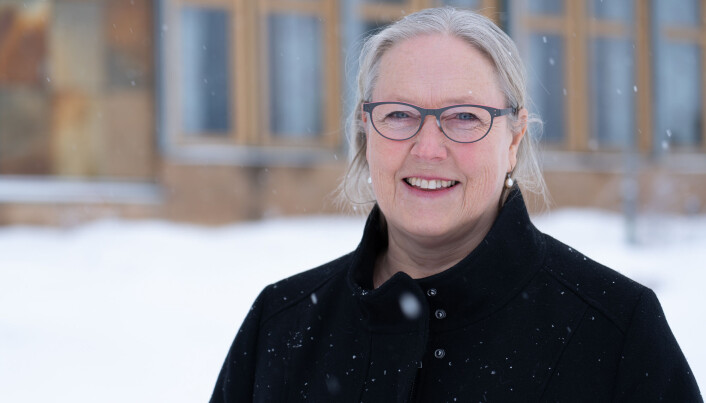 Høgskolelektor ved Høgskolen i Innlandet, Trine Løvold Syversen, er først og fremst fornøyd med at undervisning blir fokusert mer på. Den personlige belønningen tror hun vil komme på plass etter hvert. Høgskolelektor ved Høgskolen i Innlandet, Trine Løvold Syversen, er først og fremst fornøyd med at undervisning blir fokusert mer på. Den personlige belønningen tror hun vil komme på plass etter hvert.