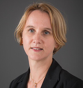 Det er lettare å få nokon til å snakka om korleis det er å kombinera små barn og karriere, seier professor Cathrine Holst. Det er lettare å få nokon til å snakka om korleis det er å kombinera små barn og karriere, seier professor Cathrine Holst.