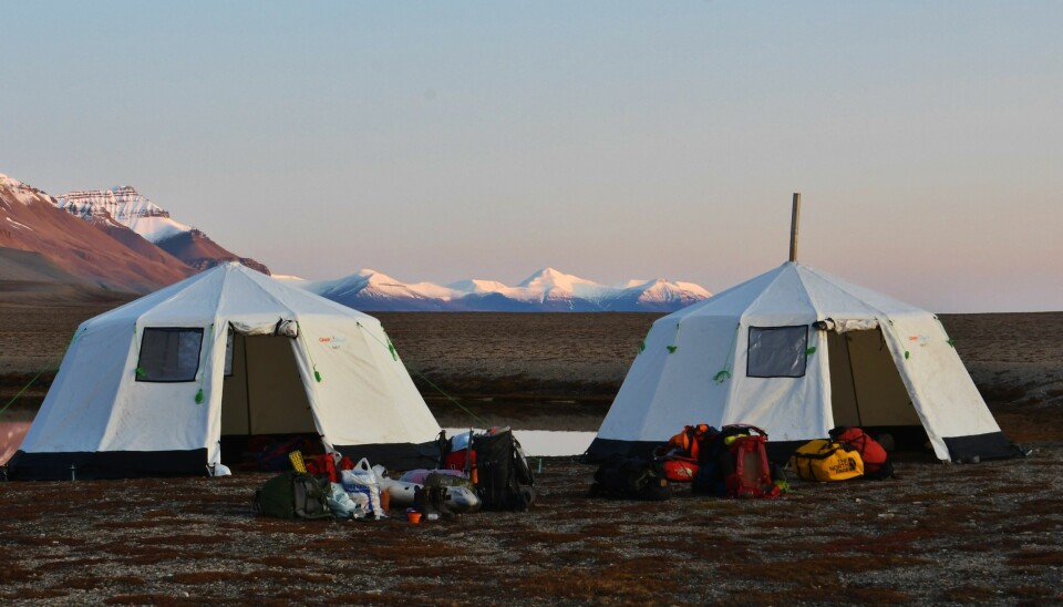 Teltleir på Svalbard. Både UiT og Høgskulen i Volda utdannar dei som skal ta med seg andre ut i naturen.