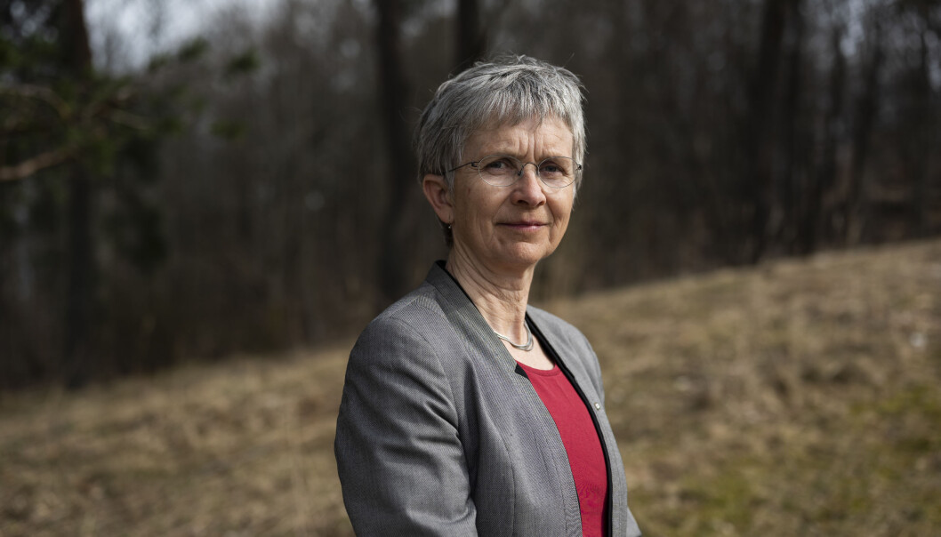 — Vi bruker jo ressurser på å utdanne noen vi egentlig trenger, men som mangler deler av utdanningen sin, sier professor Hilde Grimstad. — Vi bruker jo ressurser på å utdanne noen vi egentlig trenger, men som mangler deler av utdanningen sin, sier professor Hilde Grimstad.