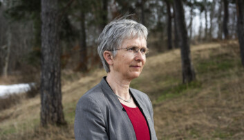 Professor Hilde Grimstad Professor Hilde Grimstad