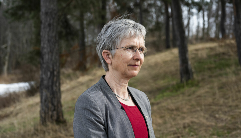 Professor Hilde Grimstad