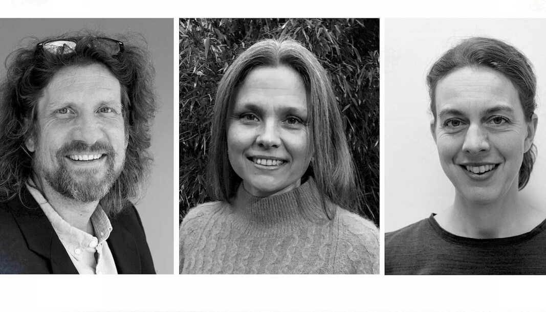 Professor og dekan Tomas Sundnes Drønen, professor Ellen Vea Rosnes og førsteamanuensis Beate Jelstad Løvaas er alle tildelt status som merittert underviser. Professor og dekan Tomas Sundnes Drønen, professor Ellen Vea Rosnes og førsteamanuensis Beate Jelstad Løvaas er alle tildelt status som merittert underviser.