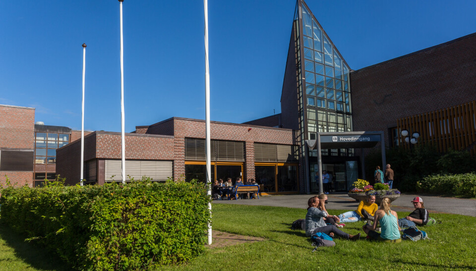 Det er stor uro blant de fleste fagansatte ved lærerutdanningen ved UiT Norges arktiske universitets campus i Alta.