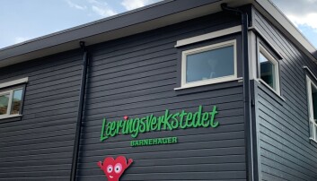 "Eg har hjarte for deg" er utgangspunktet for Læringsverkstedet sine barnehagar. Konsernet eig nær 250 barnehagar i Noreg. "Eg har hjarte for deg" er utgangspunktet for Læringsverkstedet sine barnehagar. Konsernet eig nær 250 barnehagar i Noreg.