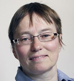 Kristine Nergaard er forsker i Fafo. Kristine Nergaard er forsker i Fafo.