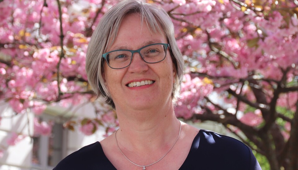 Kristin Strømsnes stiller som dekankandidat. Ho seier at saka om samaslåinga av to institutt mobiliserte henne til å stilla til val.