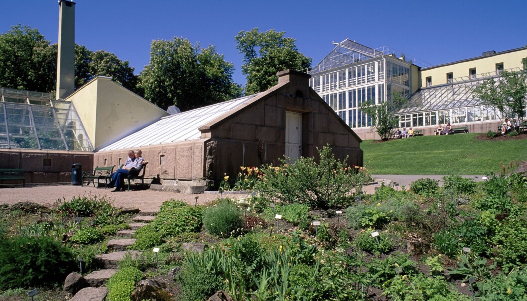 I 2019 hadde UiOs to museer Kulturhistorisk museum (inkl. Vikingtidsmuseet) og Naturhistorisk museum (inkl. Botanisk hage) begge mer enn 700 000 besøkende hver I 2019 hadde UiOs to museer Kulturhistorisk museum (inkl. Vikingtidsmuseet) og Naturhistorisk museum (inkl. Botanisk hage) begge mer enn 700 000 besøkende hver