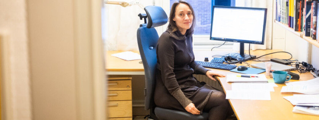 Silje Bringsrud Fekjær blir ny fungerende prorektor for utdanning ved OsloMet. Silje Bringsrud Fekjær blir ny fungerende prorektor for utdanning ved OsloMet.
