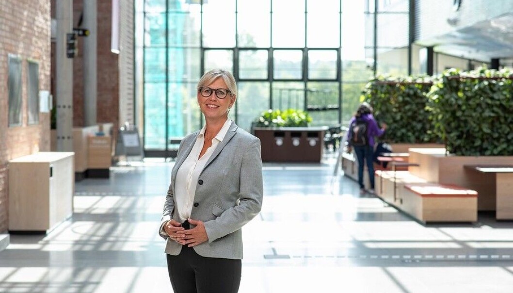 Viserektor for samfunnskontakt og nyskaping Gøril Hannås ved Universitetet i Agder tok initiativet til satsingen UHR Innovasjon og fikk med seg kolleger ved Universitetet i Stavanger, Universitetet i Sørøst-Norge og Høyskolen Kristiania. Viserektor for samfunnskontakt og nyskaping Gøril Hannås ved Universitetet i Agder tok initiativet til satsingen UHR Innovasjon og fikk med seg kolleger ved Universitetet i Stavanger, Universitetet i Sørøst-Norge og Høyskolen Kristiania.
