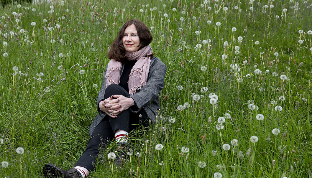 Hilde Kvalvaag gler seg over det som veks. Saman med minstesonen, attpåklatten på sju, har ho eit drivhusprosjekt ved familien sitt sommarhus. Hilde Kvalvaag gler seg over det som veks. Saman med minstesonen, attpåklatten på sju, har ho eit drivhusprosjekt ved familien sitt sommarhus.