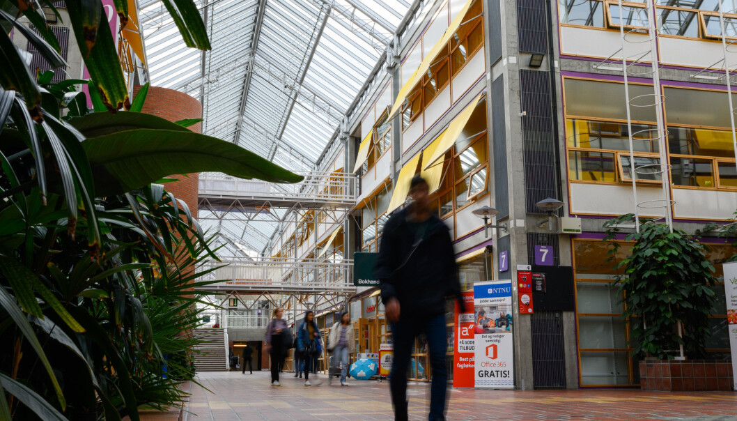 — Man skulle trodd at folk var mer bevisste på dette nå, men slik er det altså ikke, sier leder av Kvinnenettverket i filosofi ved NTNU. — Man skulle trodd at folk var mer bevisste på dette nå, men slik er det altså ikke, sier leder av Kvinnenettverket i filosofi ved NTNU.