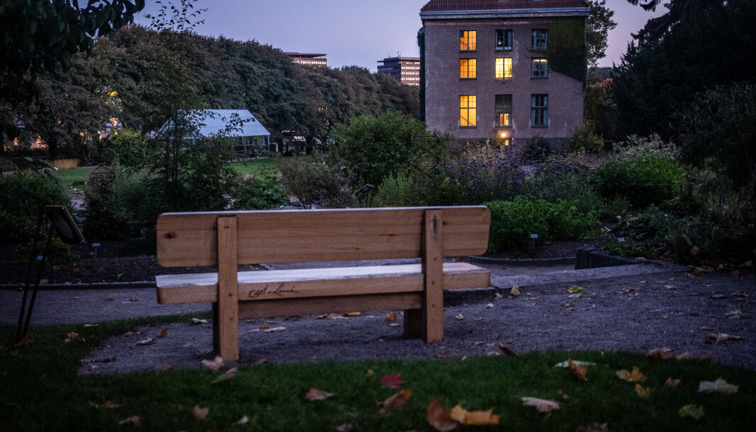 Benken i Botanisk hage i Oslo, med Carl von Linnés navn inngravert, ble gjenstand for opphetet debatt høsten 2020, hvor Linnés ideer om raser og biologi ble kritisert for rasistiske innslag. Benken i Botanisk hage i Oslo, med Carl von Linnés navn inngravert, ble gjenstand for opphetet debatt høsten 2020, hvor Linnés ideer om raser og biologi ble kritisert for rasistiske innslag.