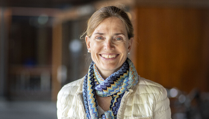 Økonomiprofessor Karen Helene Ulltveit-Moe blir ny styreleder ved NHH.. Økonomiprofessor Karen Helene Ulltveit-Moe blir ny styreleder ved NHH..