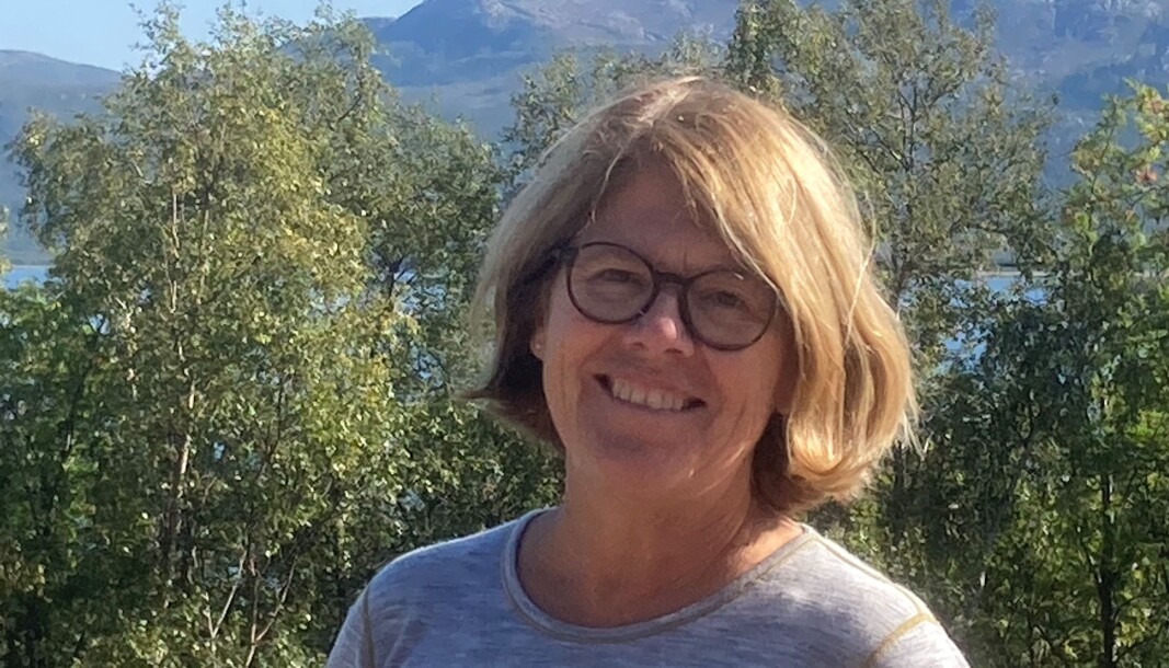 Kari Loe Hjelle overtar jobben som museumsdirektør etter Henrik von Achen som har vært direktør i ni år. Kari Loe Hjelle overtar jobben som museumsdirektør etter Henrik von Achen som har vært direktør i ni år.