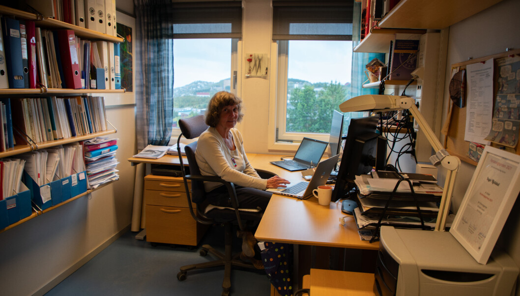 Professor Inger Njølstad er opptatt av at myndighetene har et stort ansvar når det kommer til å utjevne helseforskjeller i den norske befolkningen. Professor Inger Njølstad er opptatt av at myndighetene har et stort ansvar når det kommer til å utjevne helseforskjeller i den norske befolkningen.