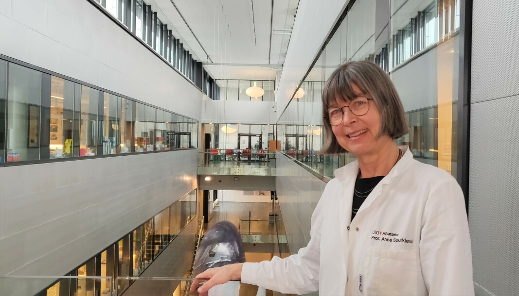 Anne Spurkland har vært en tydelig stemme i debatten om koronapandemien. Anne Spurkland har vært en tydelig stemme i debatten om koronapandemien.
