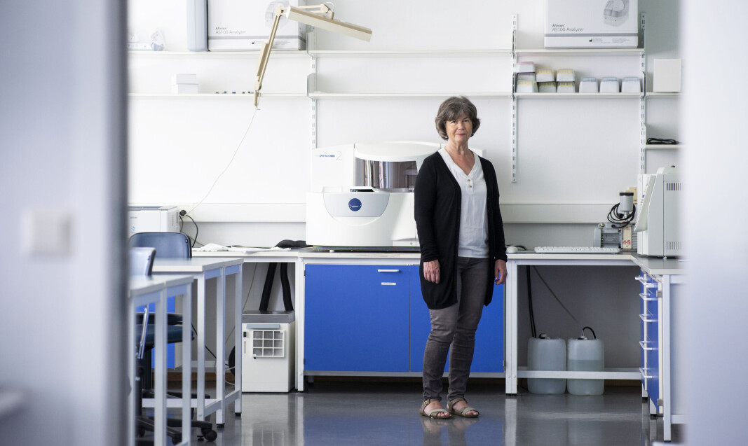 — Eg har vore med på studiar om reproduksjon der gutar har svimt av ved blodprøver. Men sædprøvene har gått greitt, konstaterer professor og leiar for forskingsgruppa Reproduktiv helse hos menn på OsloMet, Trine B. Haugen. — Eg har vore med på studiar om reproduksjon der gutar har svimt av ved blodprøver. Men sædprøvene har gått greitt, konstaterer professor og leiar for forskingsgruppa Reproduktiv helse hos menn på OsloMet, Trine B. Haugen.