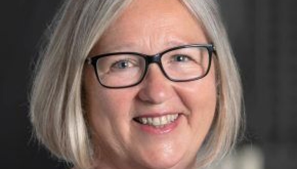 Rita Helgesen er leder i Norsk Lektorlag. Rita Helgesen er leder i Norsk Lektorlag.