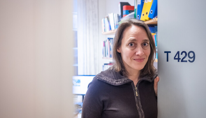 Silje Bringsrud Fekjær er professor ved Senter for profesjonsstudier, men siden 1. august fungerende prorektor for utdanning ved OsloMet. Silje Bringsrud Fekjær er professor ved Senter for profesjonsstudier, men siden 1. august fungerende prorektor for utdanning ved OsloMet.