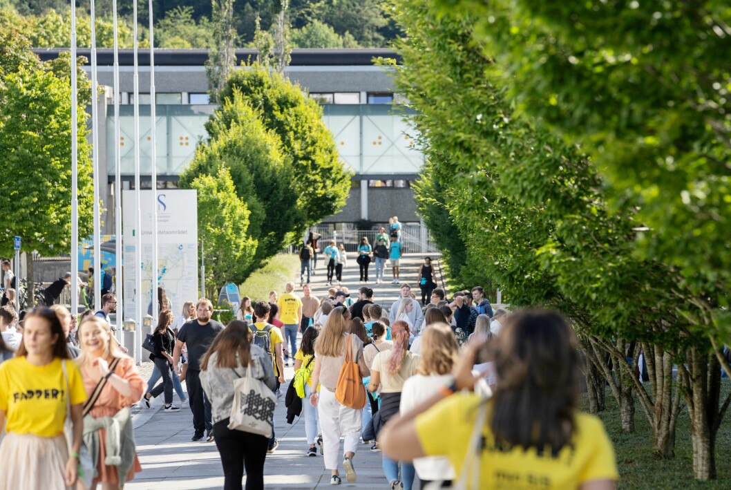 Studentsamskipnaden i Stavanger planlegger for 1200 nye studentboliger innen 2025.