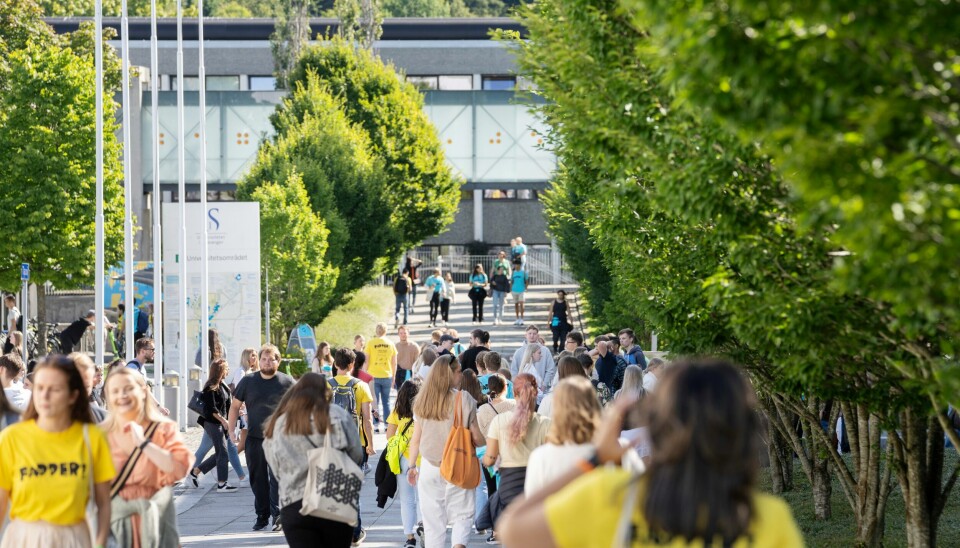 Campus og studenter ved Universitetet i Stavanger