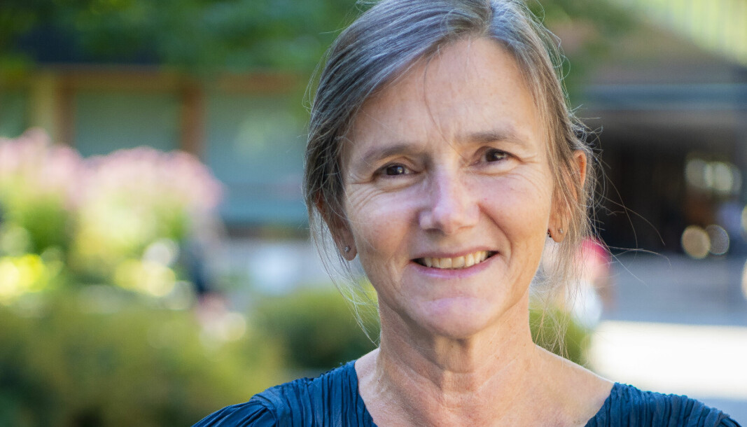 Dekan ved Det samfunnsvitenskapelige fakultet ved Universitetet i Oslo, Anne Julie Semb, mener undervisning ikke blir nedprioritert ved universitetet.