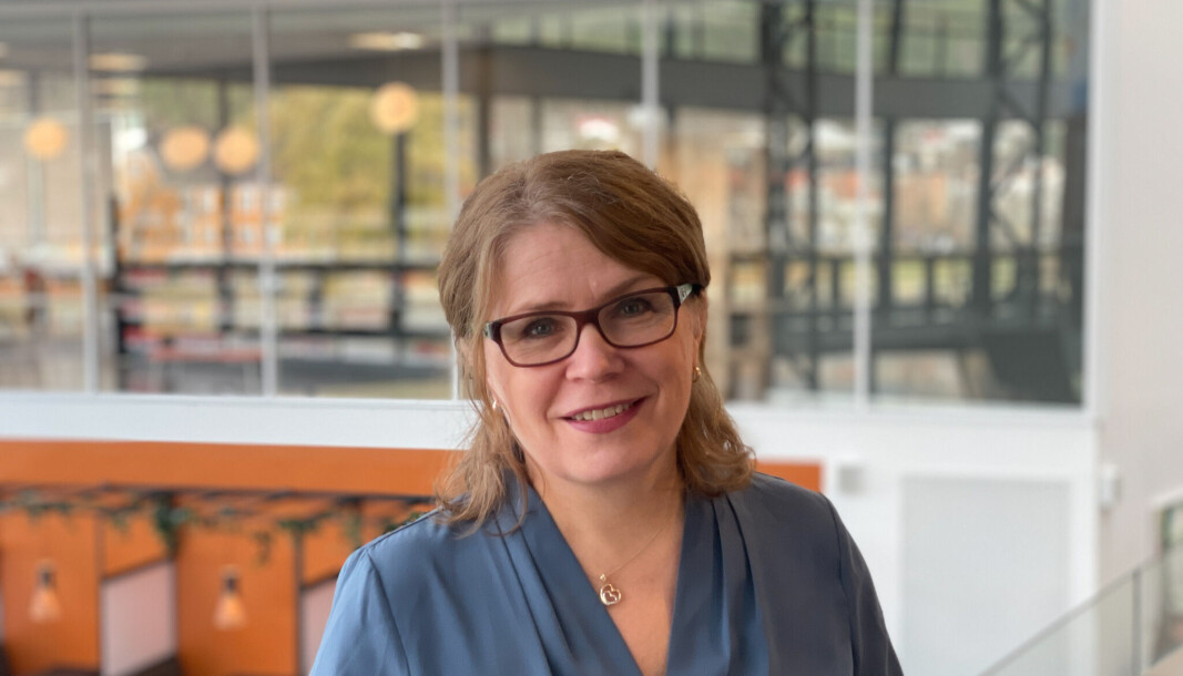 Prosjektleder ved Universitetet i Sørøst-Norge Industriakademiet, Silja M. Sverreson, har gode erfaringer med å bygge bro mellom akademia og næringlivet. Prosjektleder ved Universitetet i Sørøst-Norge Industriakademiet, Silja M. Sverreson, har gode erfaringer med å bygge bro mellom akademia og næringlivet.