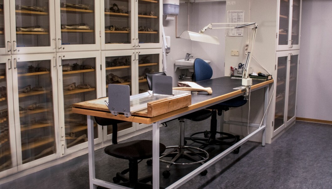 Bilde fra De Schreinerske Samlinger ved Universitetet i Oslo. Både dette og bildet i toppen av denne saken har samme fotobyline. Bilde fra De Schreinerske Samlinger ved Universitetet i Oslo. Både dette og bildet i toppen av denne saken har samme fotobyline.
