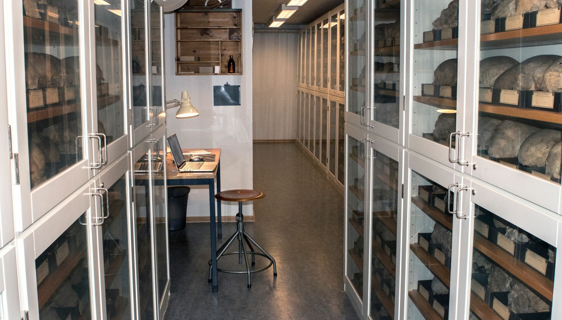 Fra De Schreinerske Samlinger ved Universitetet i Oslo. Fra De Schreinerske Samlinger ved Universitetet i Oslo.