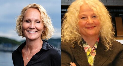 To nye kvinner i Dag Rune Olsens rektorat