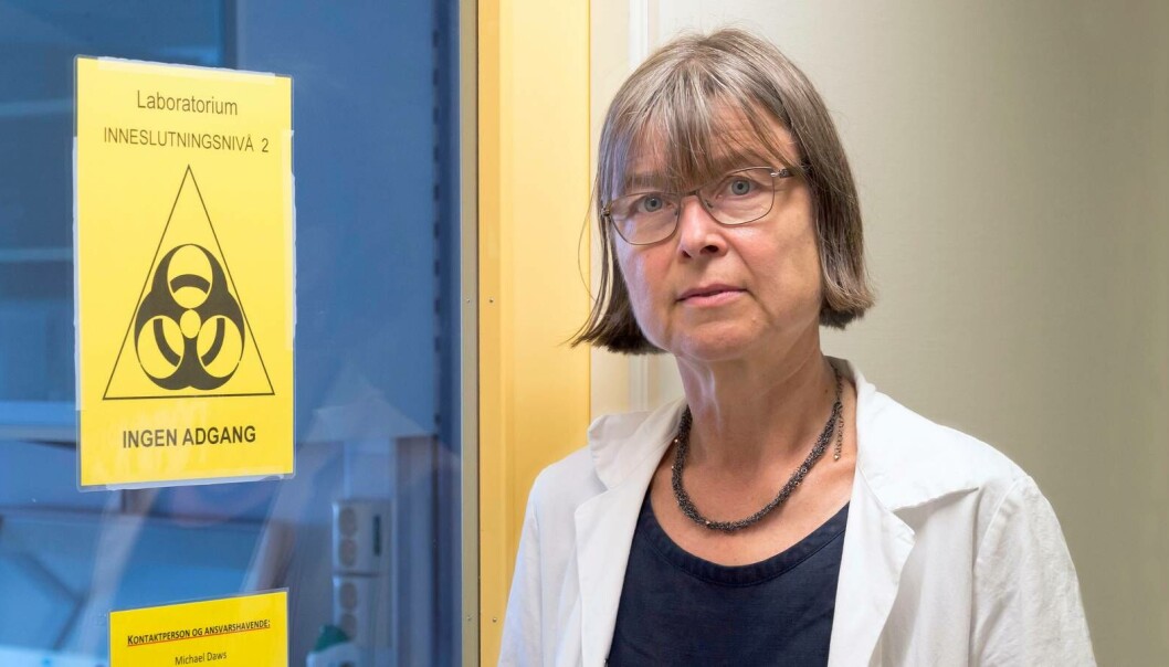 Professor og immunolog Anne Spurkland meiner folk sin aksept og forståing for forsking under pandemien har auka. Professor og immunolog Anne Spurkland meiner folk sin aksept og forståing for forsking under pandemien har auka.