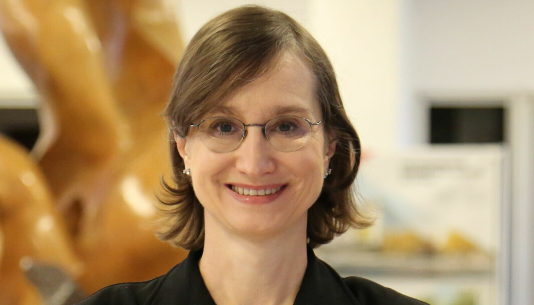 Kreftforsker og direktør: Elisabete Weiderpass.