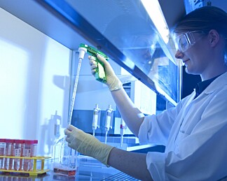 Fire av ti vitenskapelig ansatte er kvinner, bare en av fire professorer