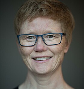 Helsedekan Gudbjørg Svineng, UiT. Helsedekan Gudbjørg Svineng, UiT.