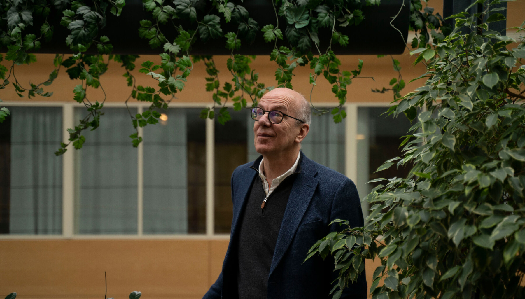 Professor Peter Maassen Professor Peter Maassen