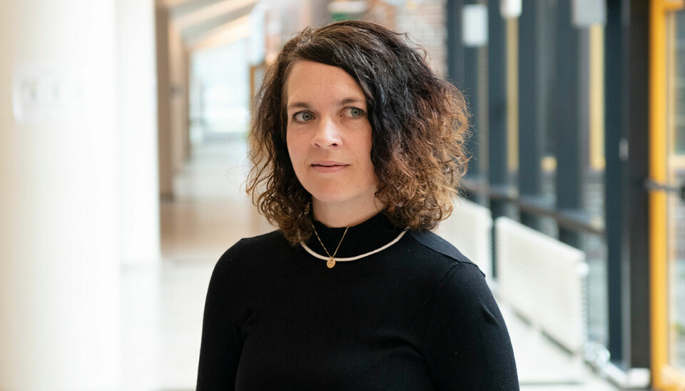 Kathrine Tveiterås er prorektor ved Universitetet i Tromsø..