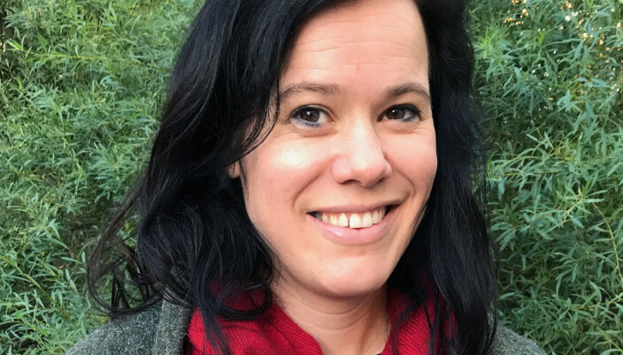 Tone Liodden er forsker II ved Norsk institutt for by- og regionforskning ved OsloMet. Tone Liodden er forsker II ved Norsk institutt for by- og regionforskning ved OsloMet.