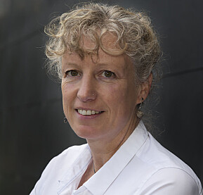Gunhild Hoogensen Gjørv, professor ved UiT Gunhild Hoogensen Gjørv, professor ved UiT