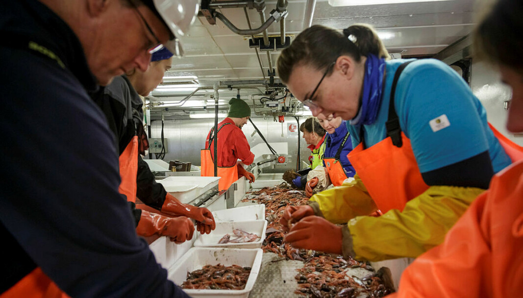 Unntaket frå sanksjonane gjer at norske og russiske skip og forskarar skal arbeide side om side også under økosystemtoktet til hausten. Unntaket frå sanksjonane gjer at norske og russiske skip og forskarar skal arbeide side om side også under økosystemtoktet til hausten.