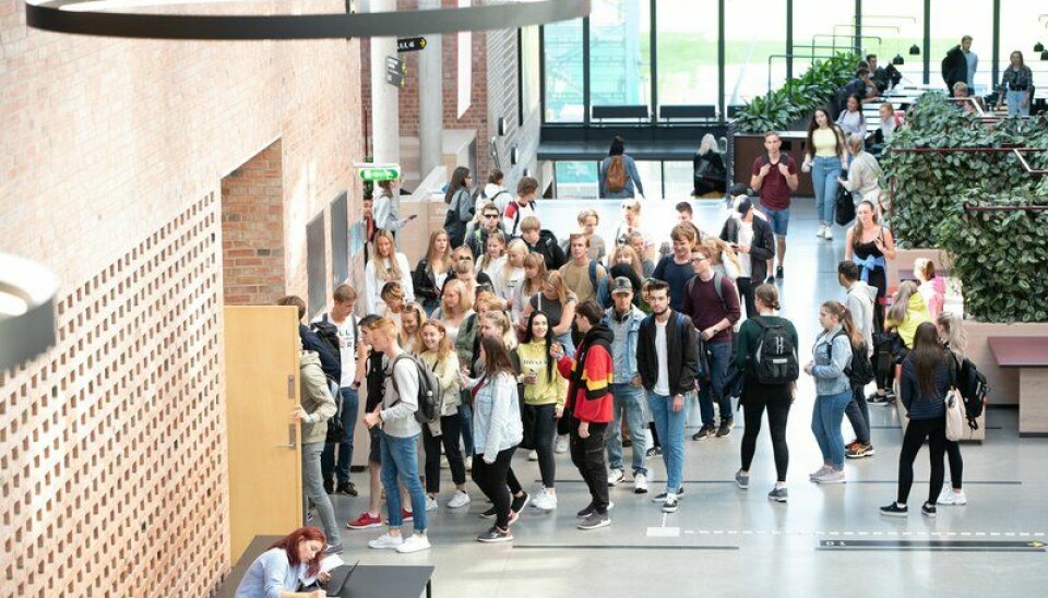 Studentene ved Universitetet i Agder kan se fram til et nytt studentkulturhus i sentrum av Kristiansand, etter styrevedtak torsdag.
