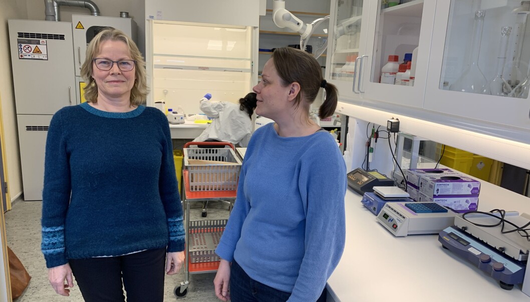 Professorene Karen Kristine Sørensen (t.v) og Eelke Snoeren ved UiT Norges arktiske universitet, representerer noen av dem de store byggeforsinkelsene ved universitetet har skapt store konsekvenser for. —Nå kan vi bare håpe at tilliten de har til oss vil bli gjenopprettet og at de forstår at vi er tilbake i full drift og at dette ikke vil skje igjen, sier Eelke Snoeren. Professorene Karen Kristine Sørensen (t.v) og Eelke Snoeren ved UiT Norges arktiske universitet, representerer noen av dem de store byggeforsinkelsene ved universitetet har skapt store konsekvenser for. —Nå kan vi bare håpe at tilliten de har til oss vil bli gjenopprettet og at de forstår at vi er tilbake i full drift og at dette ikke vil skje igjen, sier Eelke Snoeren.