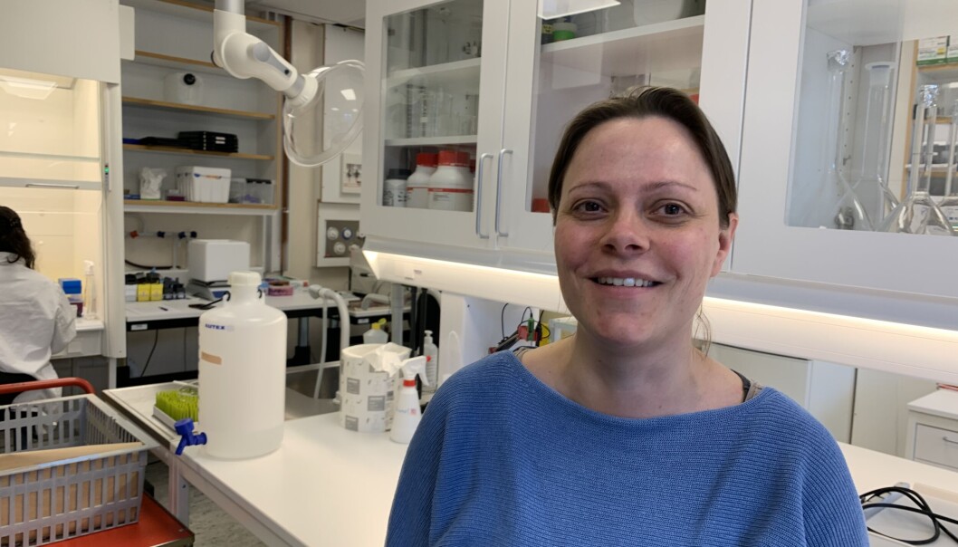 — Jeg kan bare snakke for meg selv. Det verste har vært usikkerheten, og det mentale ved dette. Vi fikk finansiering fra Forskningsrådet akkurat før laboratoriet lukket. Det var da forskningen vår virkelig skulle skyte fart, men ble altså satt på pause i tre og et halvt år. Det betyr at alle folkene som var ansatt i prosjektet også ble satt på pause i sin karriere, sukker professor Eelke Snoeren. — Jeg kan bare snakke for meg selv. Det verste har vært usikkerheten, og det mentale ved dette. Vi fikk finansiering fra Forskningsrådet akkurat før laboratoriet lukket. Det var da forskningen vår virkelig skulle skyte fart, men ble altså satt på pause i tre og et halvt år. Det betyr at alle folkene som var ansatt i prosjektet også ble satt på pause i sin karriere, sukker professor Eelke Snoeren.