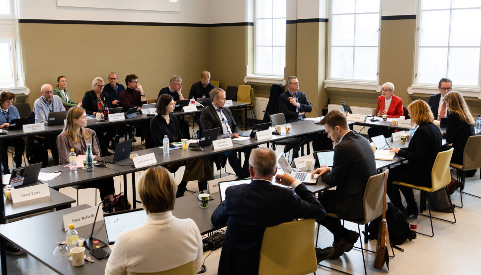NTNUs styre får totalt 1 627 600 millioner kroner i honorarer, dersom alle de faste medlemmene møter opp på seks heldagsmøter i løpet av året.