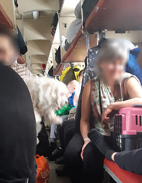 På toget fra Kharkiv til Lviv sov passasjerene på tur i den øverste av de to bagasjehyllene. For Deineko ble det kun ett par timer søvn på den lange turen fra øst til vest i Ukraina. På toget fra Kharkiv til Lviv sov passasjerene på tur i den øverste av de to bagasjehyllene. For Deineko ble det kun ett par timer søvn på den lange turen fra øst til vest i Ukraina.