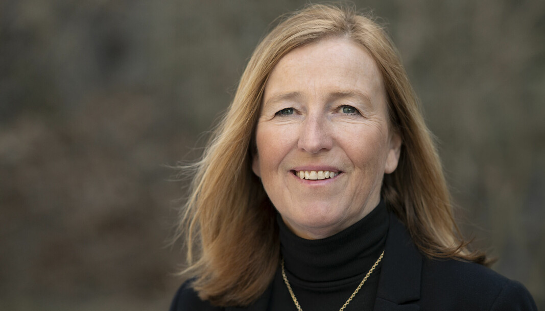 Line Haugen har vært økonomidirektør ved OsloMet i fem år. Nå stepper hun inn som toppdirektør.