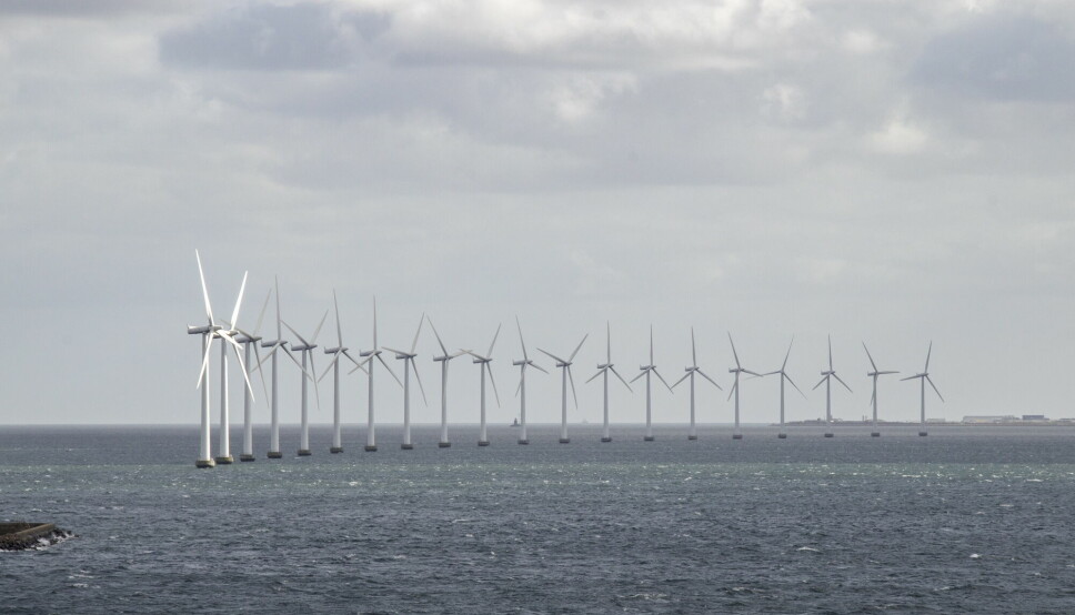 Storstilt satsing på havvind er en av de målrettede samfunnsoppdragene som Nifu-forskerne trekker fram som mulige «missions» for Norge. Her vindturbiner som står i Øresund utenfor København.